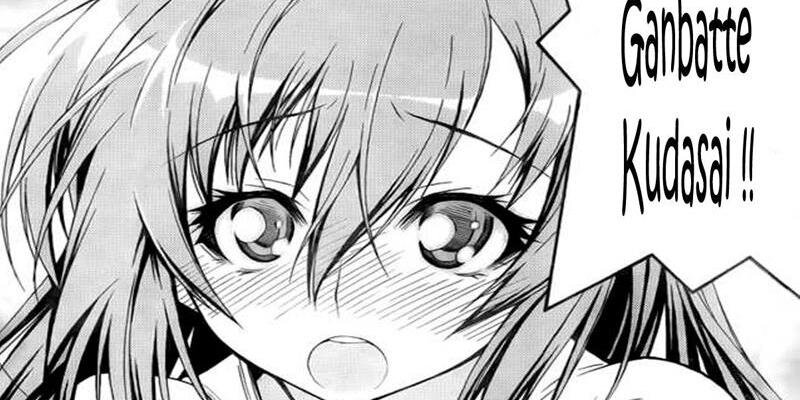 vialuvvia's profile banner image