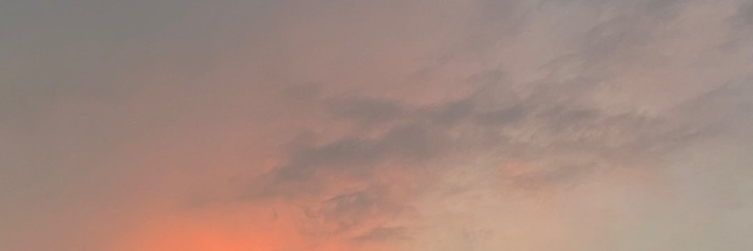 𝓫𝓮𝓯🐻𐙚 #taste banner