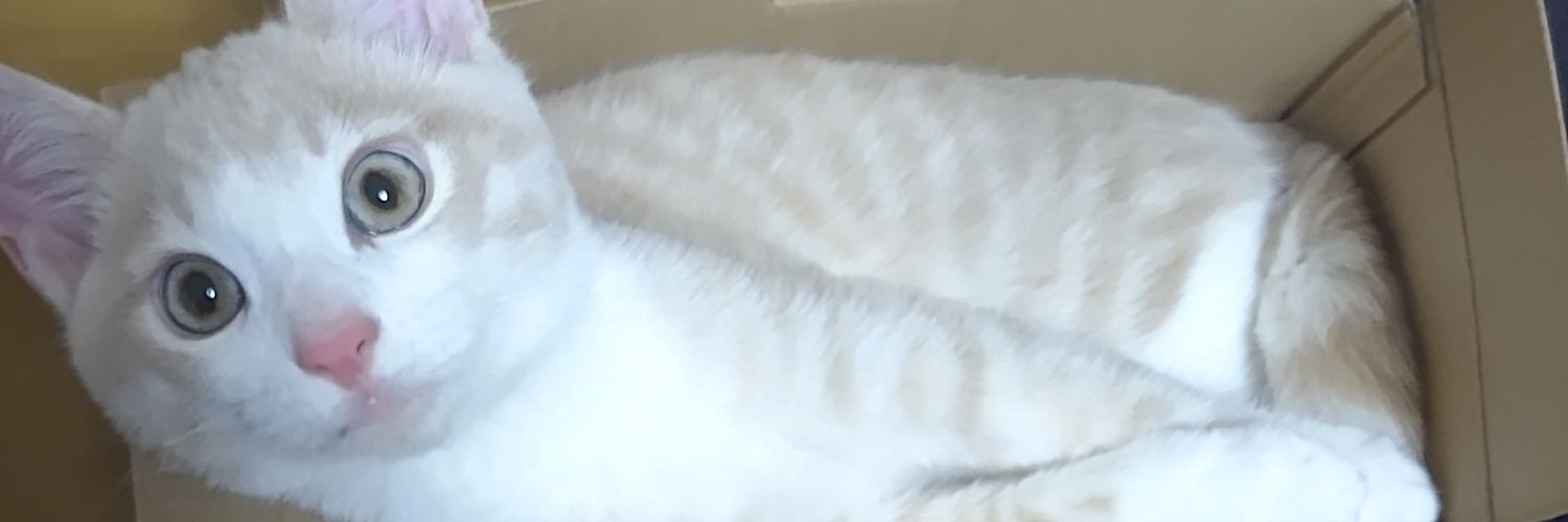 けたまる（AF） banner