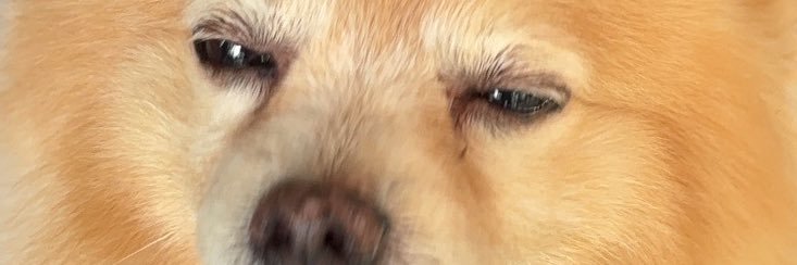 natnatiz's profile banner image