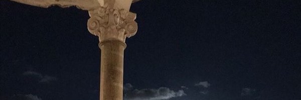 rine_si_ Profile Banner