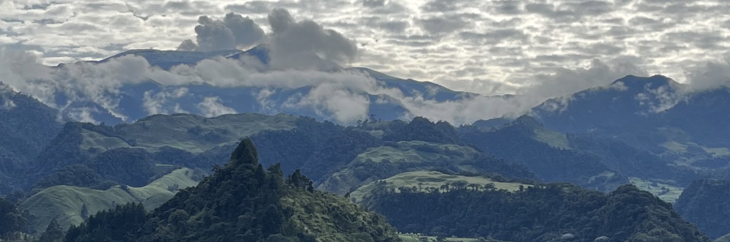 MLEcheverry's profile banner image