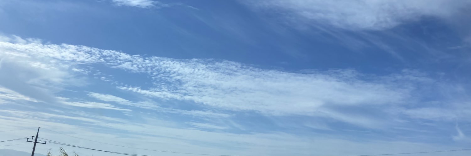 하넬 banner