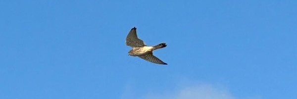 cryptowithkarl Profile Banner