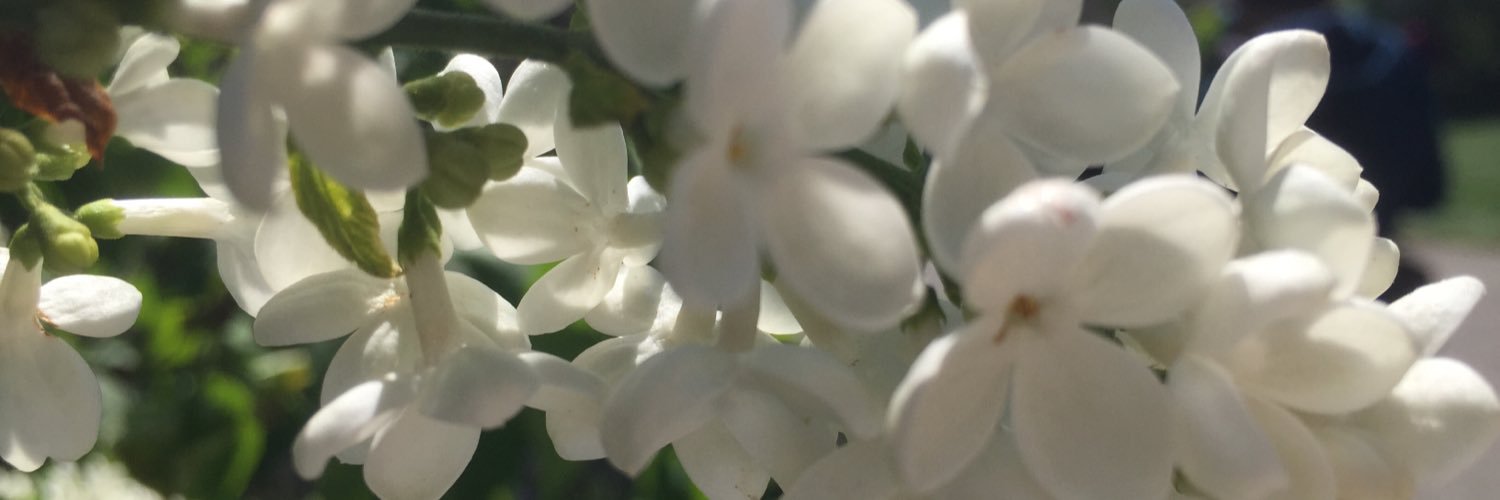 coolacctngchick's profile banner image