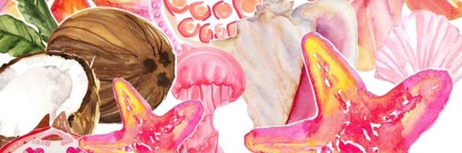 americoconut banner