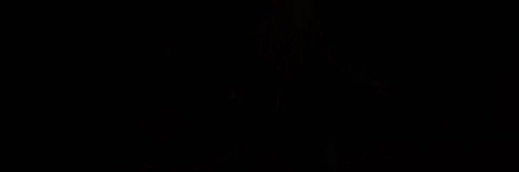 maria ౨ৎ banner