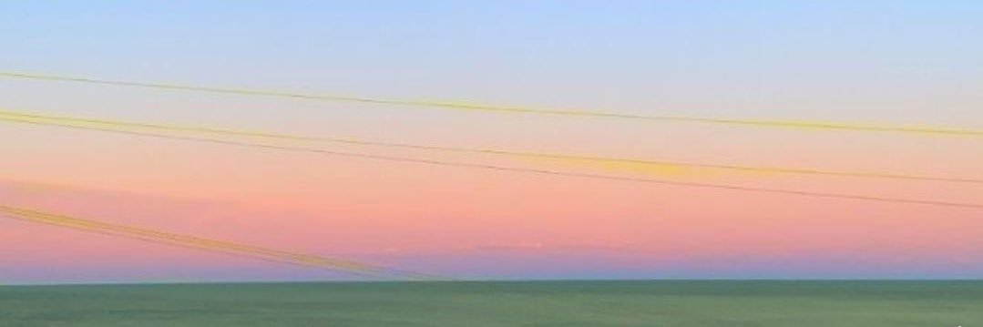 Mallory Potash banner