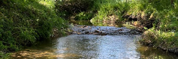 SidCatchment Profile Banner