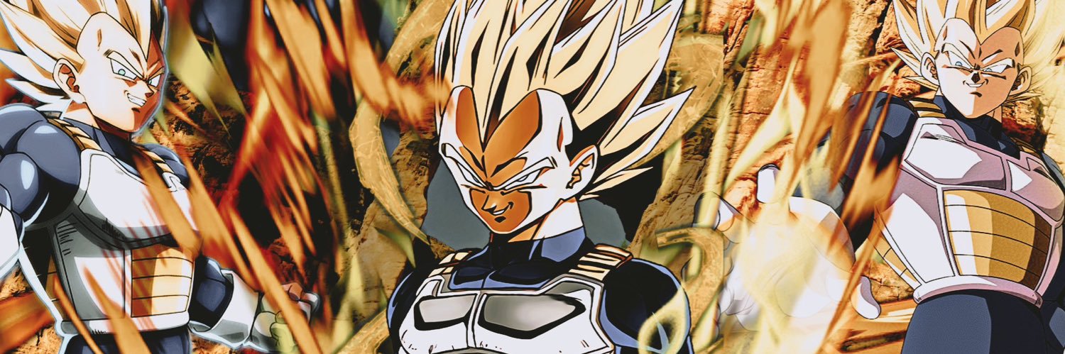 TEQ DFE PRINCE VEGETA banner