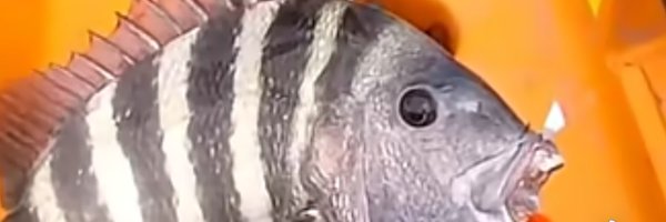 humbled8270 Profile Banner