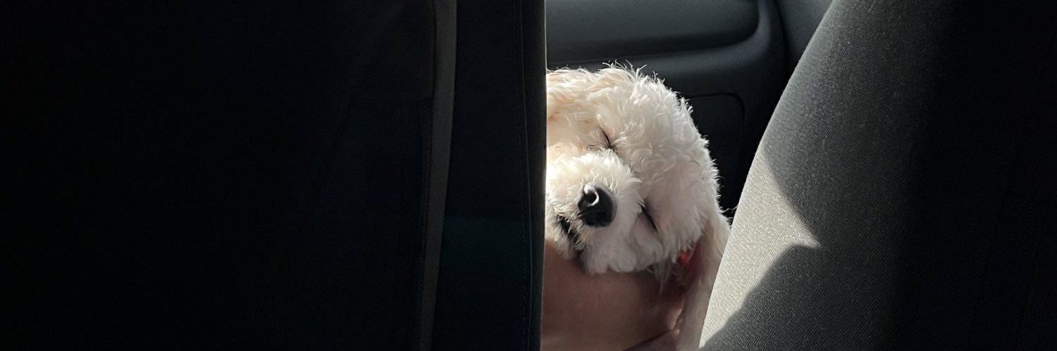 mishellpm_'s profile banner image