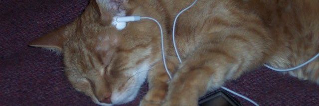 car🐈 banner