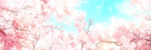 Shalom(🧊반동결) banner