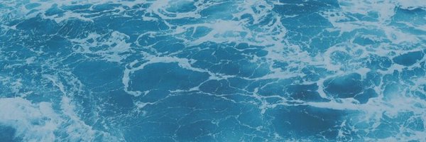 STRIPEDWAVES Profile Banner