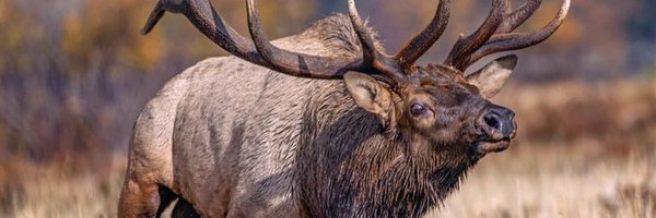 DaidenHoward27 Profile Banner