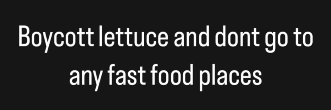 shitty shinku writing a book banner