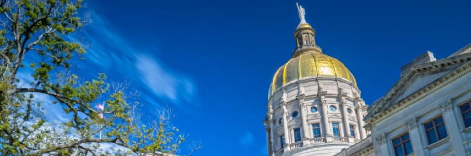 Stand For Georgia Values banner