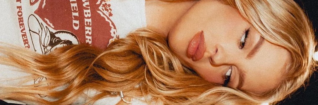 lousonzer's profile banner image