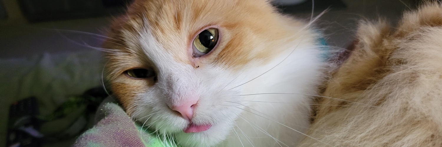 haleymariebabe's profile banner image