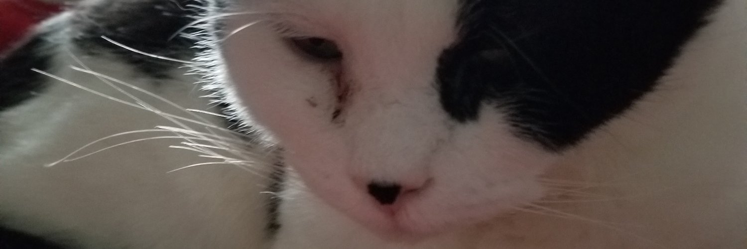 queer and tired banner