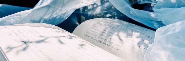 Rima_OMTK's profile banner image