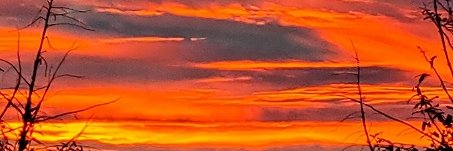 letitripMAGA🚰 banner