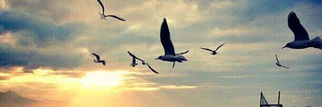 برق الشقردي banner