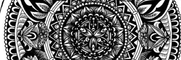 soph_francombe Profile Banner