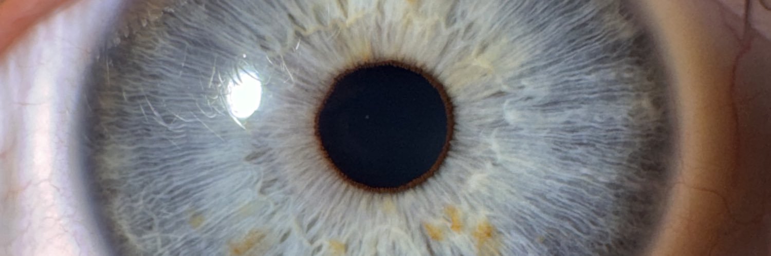 juju_sockssubmi's profile banner image