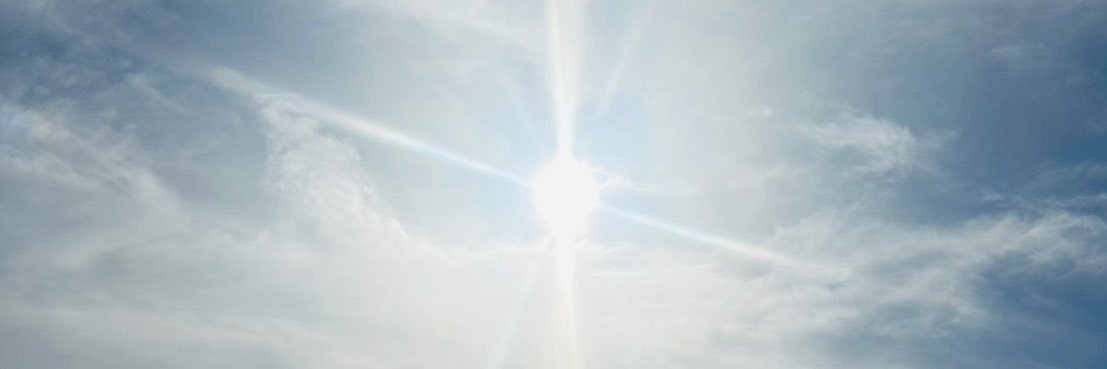 あと蝉殺した banner