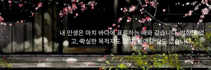 ࣪ banner