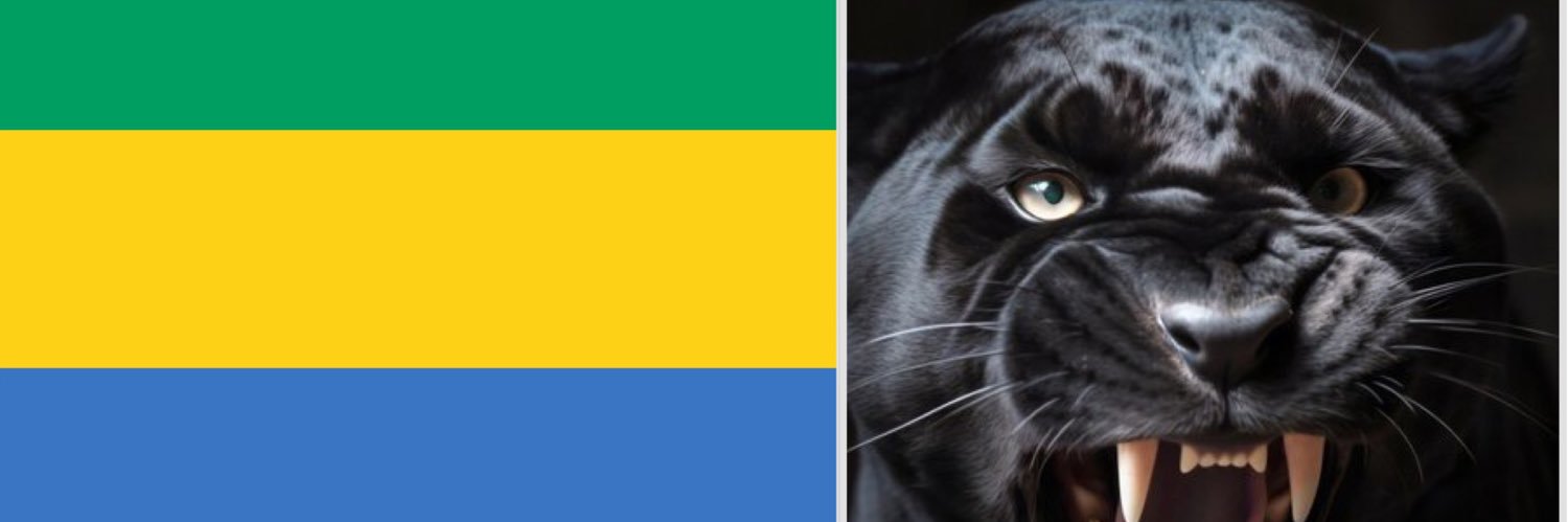 Gabon Defender 🇬🇦 banner