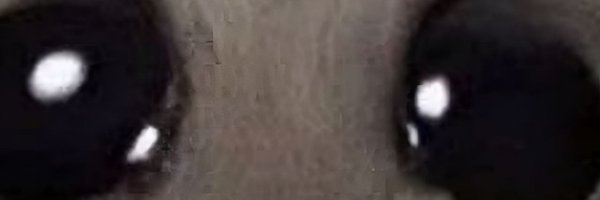 thehamsterissad Profile Banner