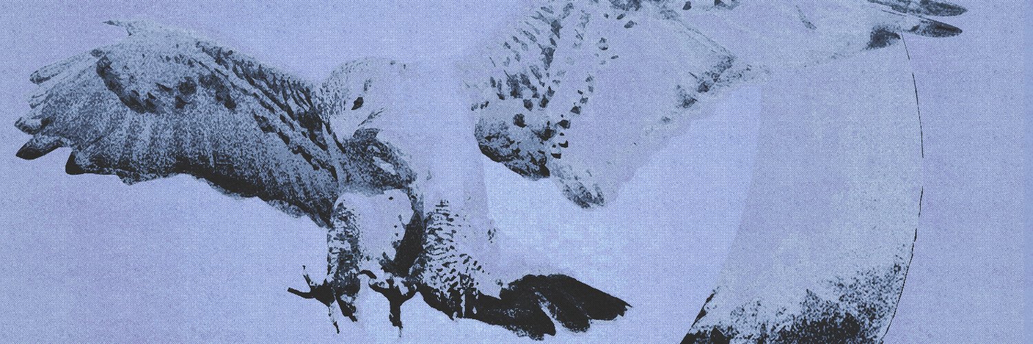 ᅟᅟ ᅟᅟ 𝕽𝖮𝖣𝖱𝖨𝖪 𝕬𝖱𝖱𝖸𝖭. banner