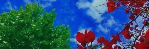 Never Give Up banner