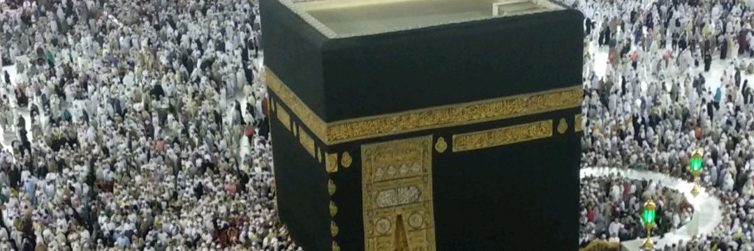 devinirmalaa's profile banner image