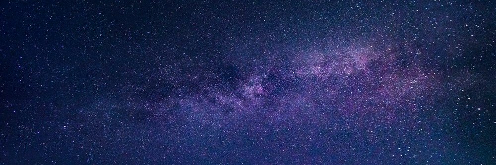 sceliphron's profile banner image