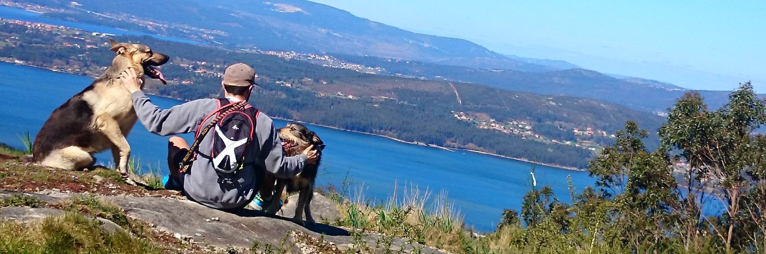 gomezfabello's profile banner image