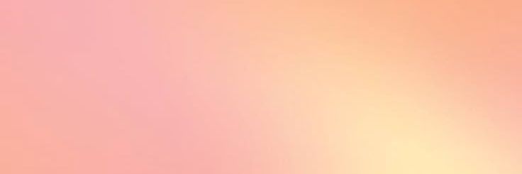 vee banner