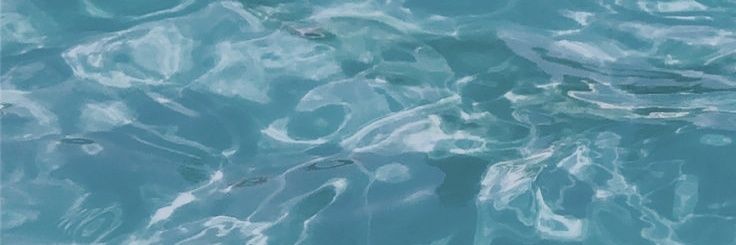 dewnesday's profile banner image