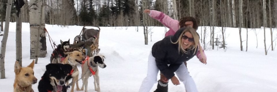 CarolaCalello's profile banner image