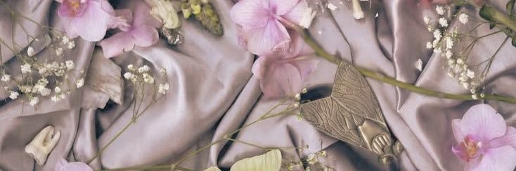 Amy | HADES banner