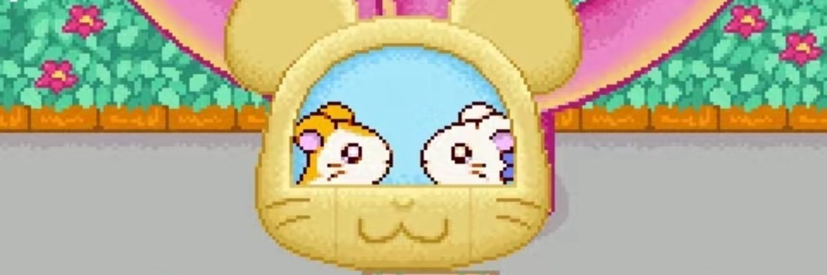 Ham1nRu's profile banner image