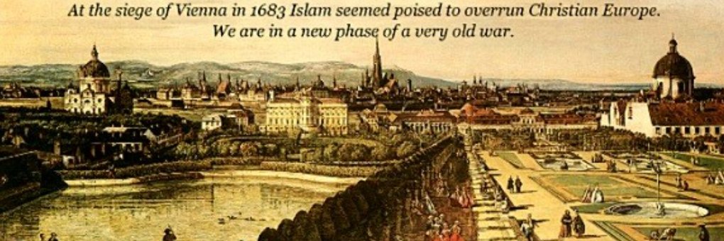 Swedish Reactionary 🇸🇪🇬🇧🇺🇸 banner