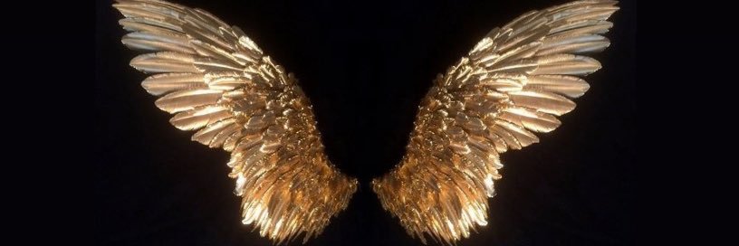 theintrepie's profile banner image