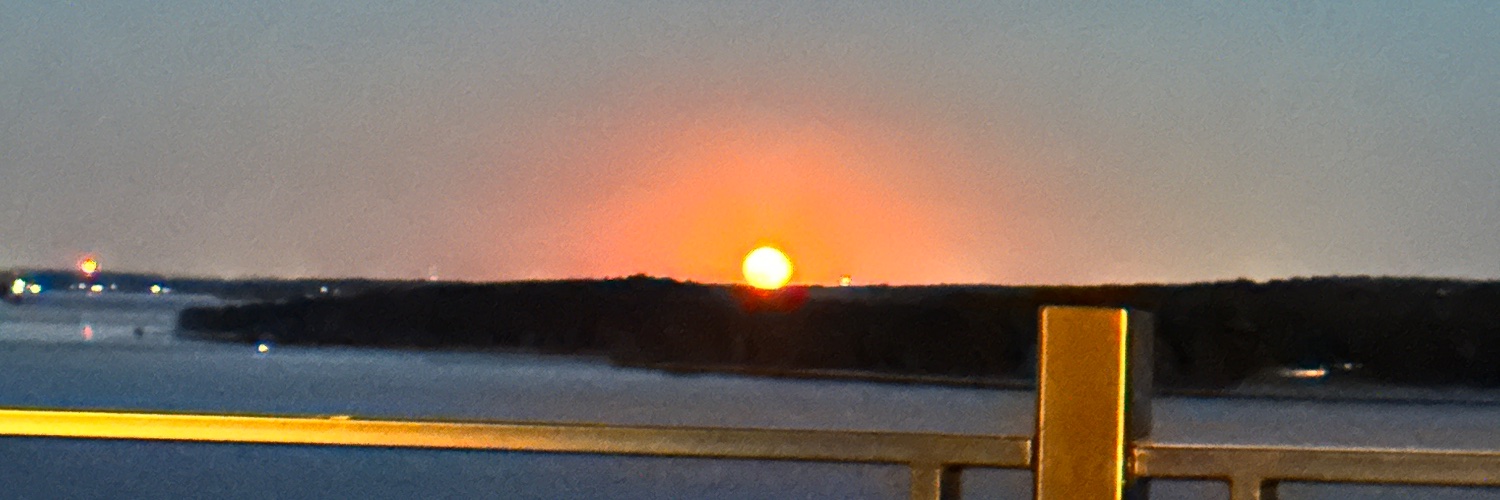 Living Well is the Best Revenge banner