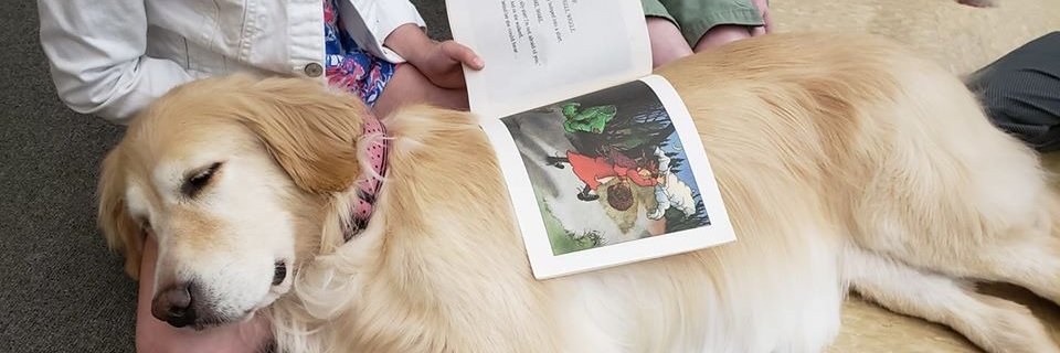 Creature Comfort Pet Therapy banner