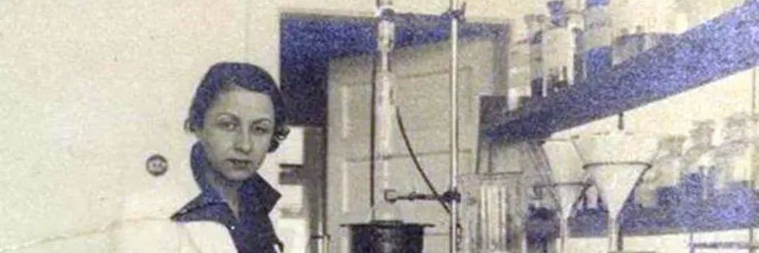 Ich bin Blaubeere banner