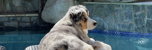 dubsbite Profile Banner